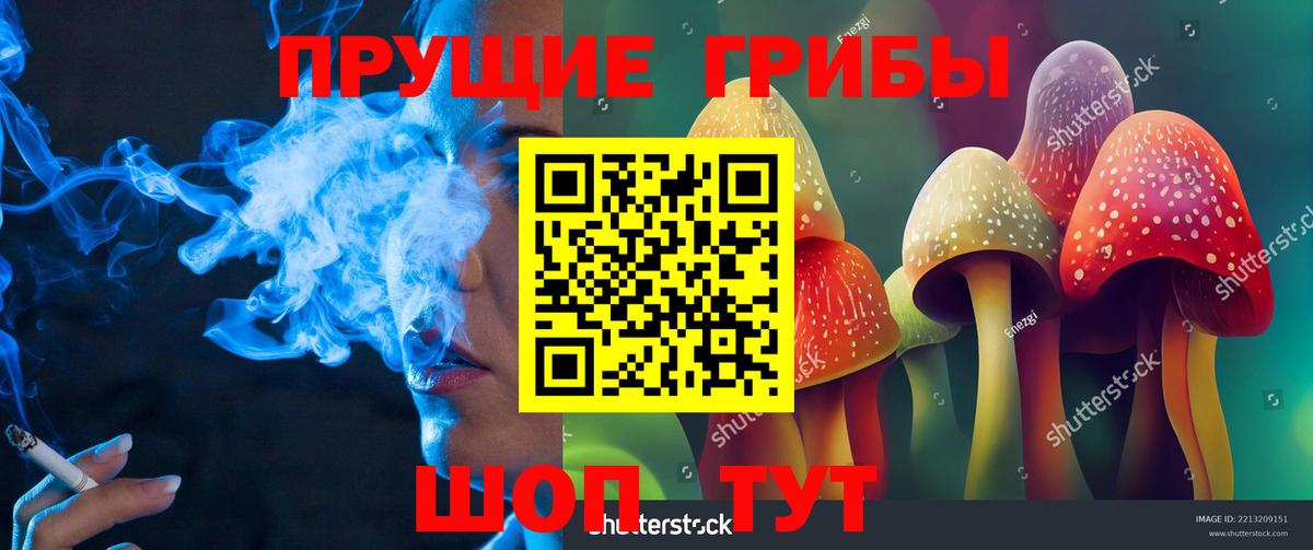 Галлюциногенные грибы Magic Shrooms  Вход с VPN  Галлюциногенные грибы Psilocybine cubensis  Аксай 
