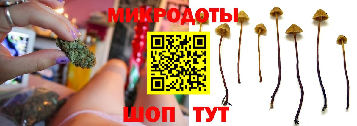Псилоцибиновые грибы GOLDEN TEACHER Аксай